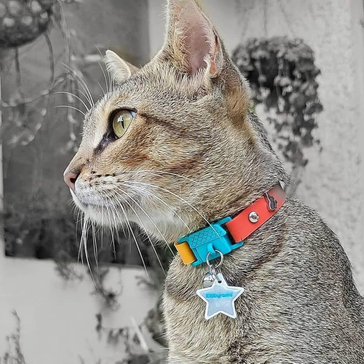 Kittyrama Silicone Cat Collar with Bell