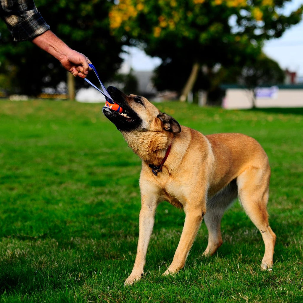 Chuckit! Ultra Tug Dog Toy With Rubber Ball Tug | PetNestUK