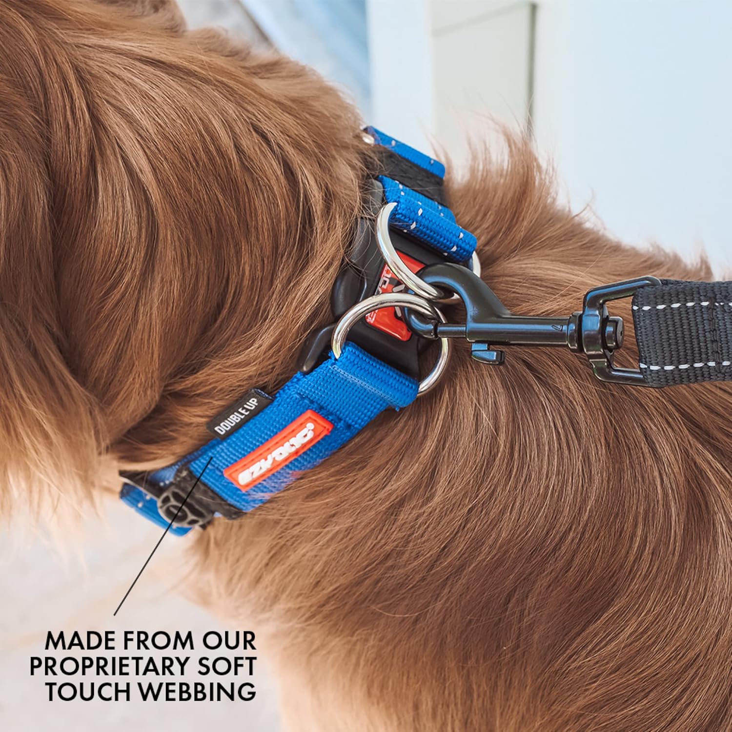 EZYDOG Double Up Dog Collar | PetNestUK