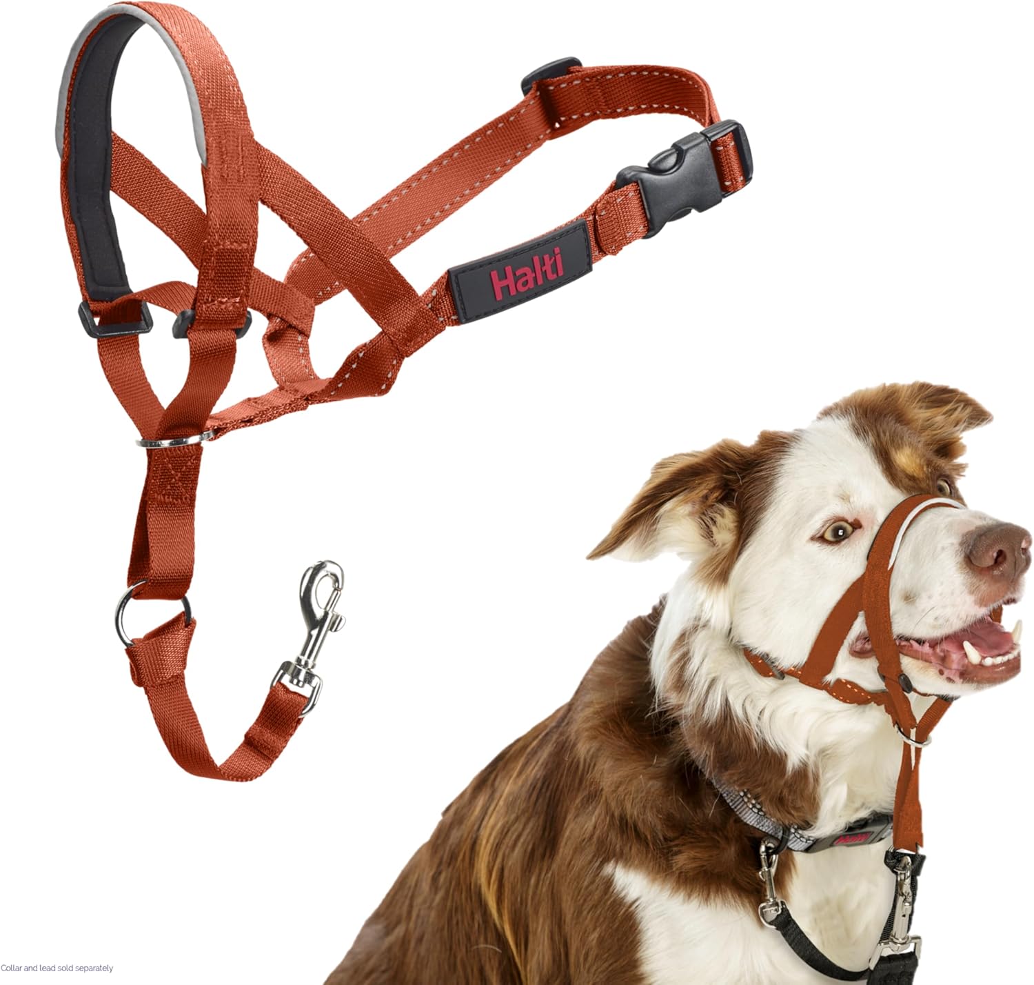 HALTI Headcollar, UK Bestselling Harness to Stop | PetNestUK