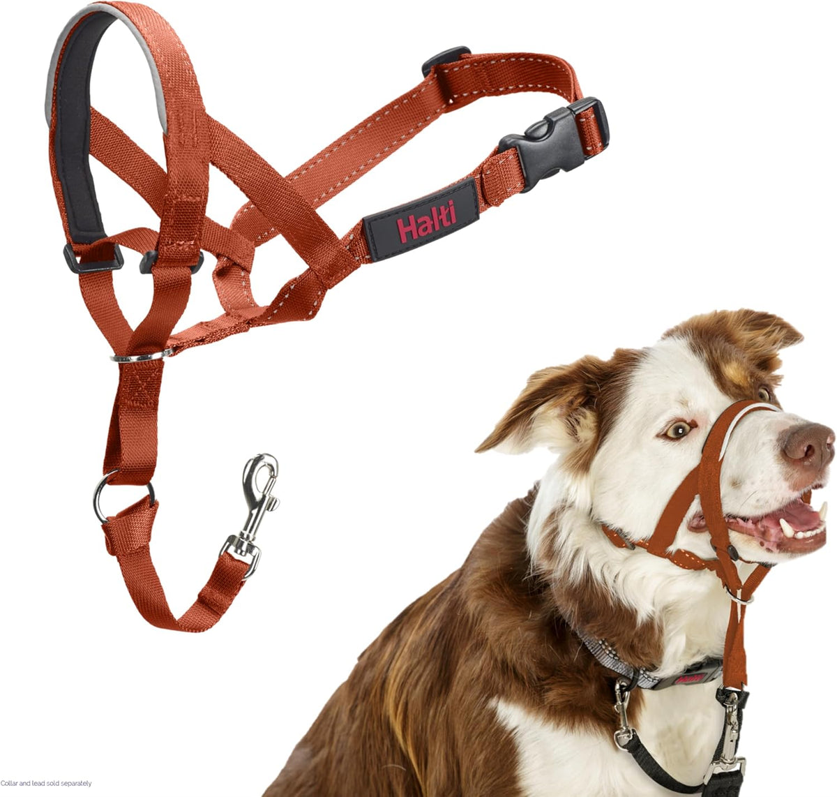 HALTI Adjustable Dog Headcollar