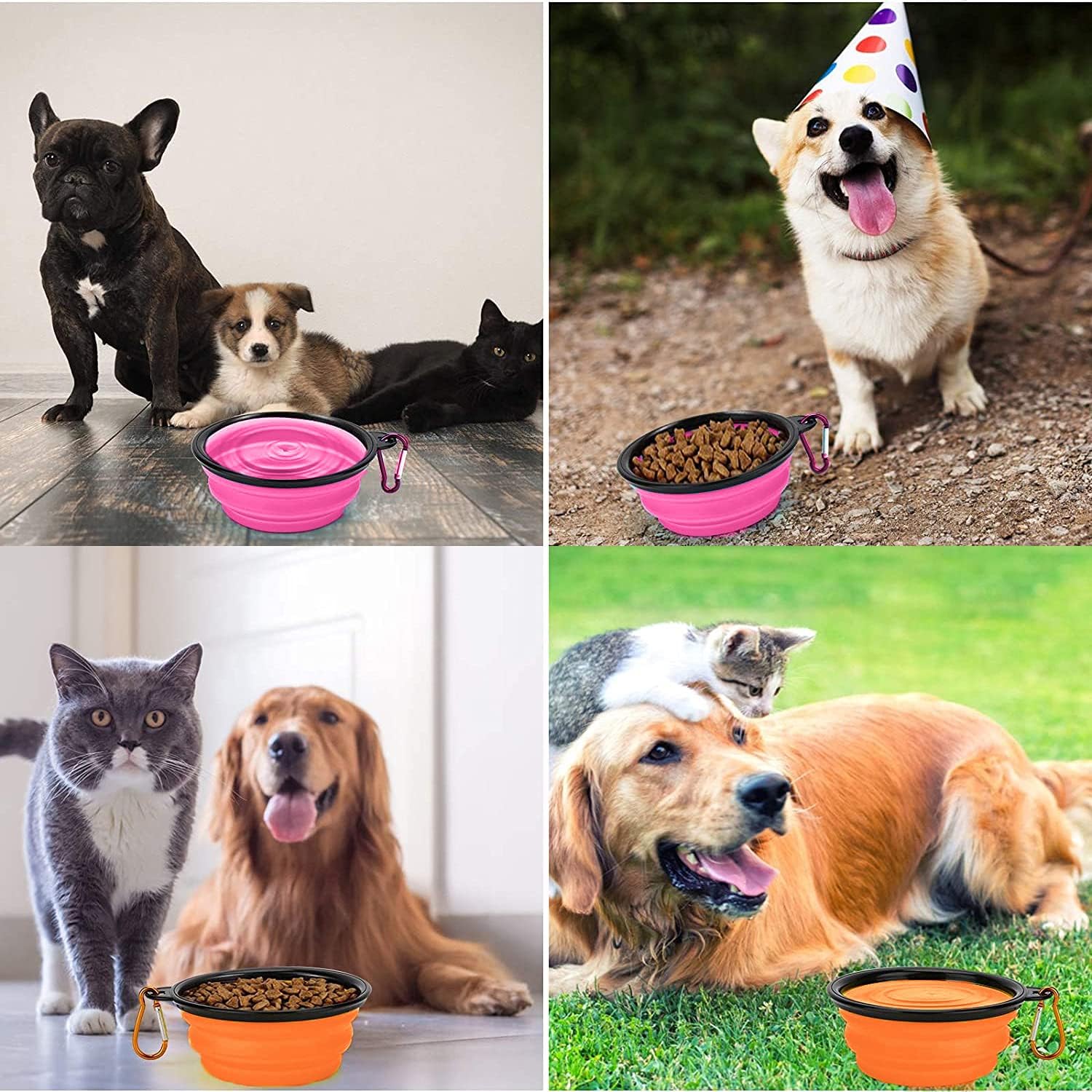 Collapsible Dog Bowl,Collapsible Dog Water Bowls | PetNestUK