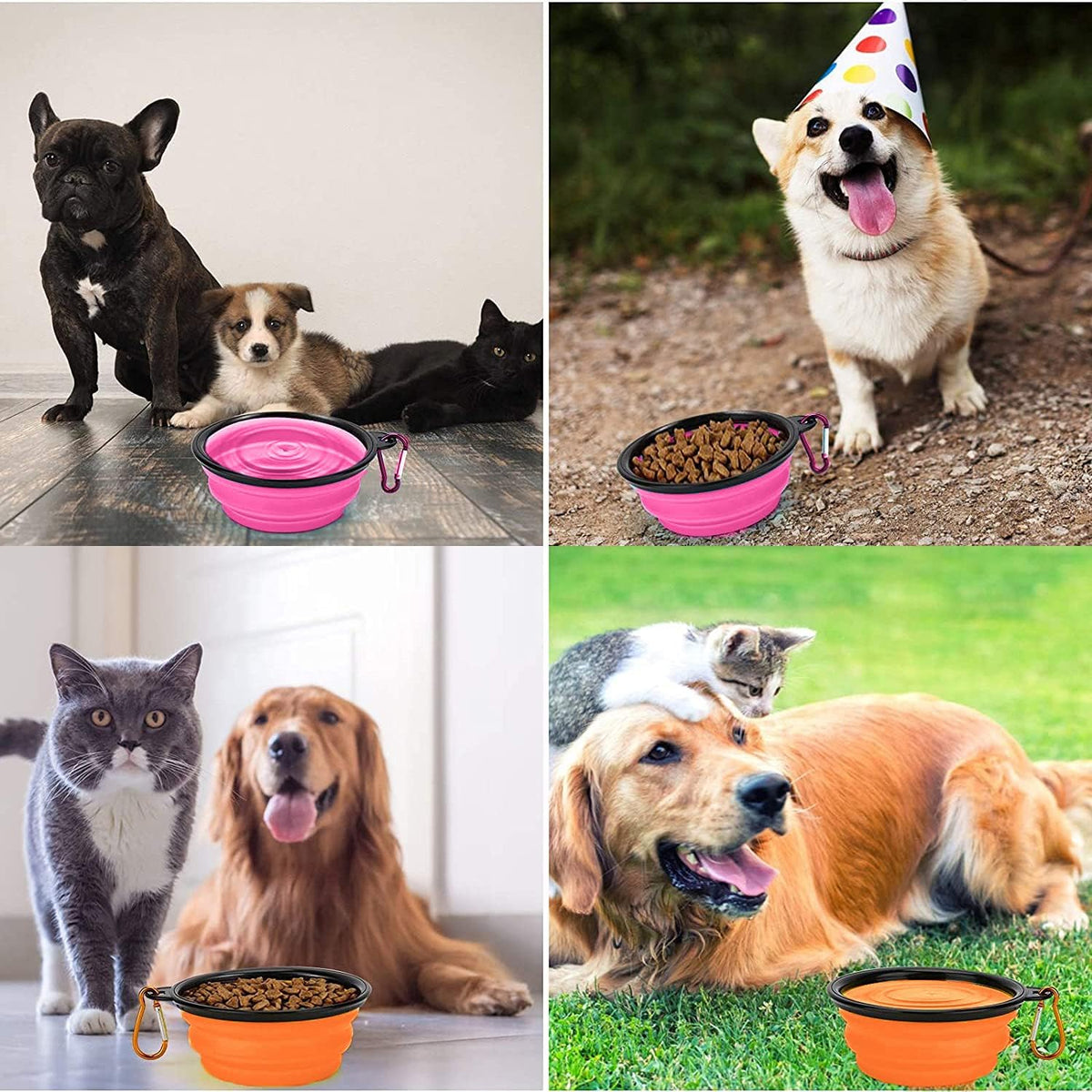 Coolon Collapsible Travel Bowls for Pets