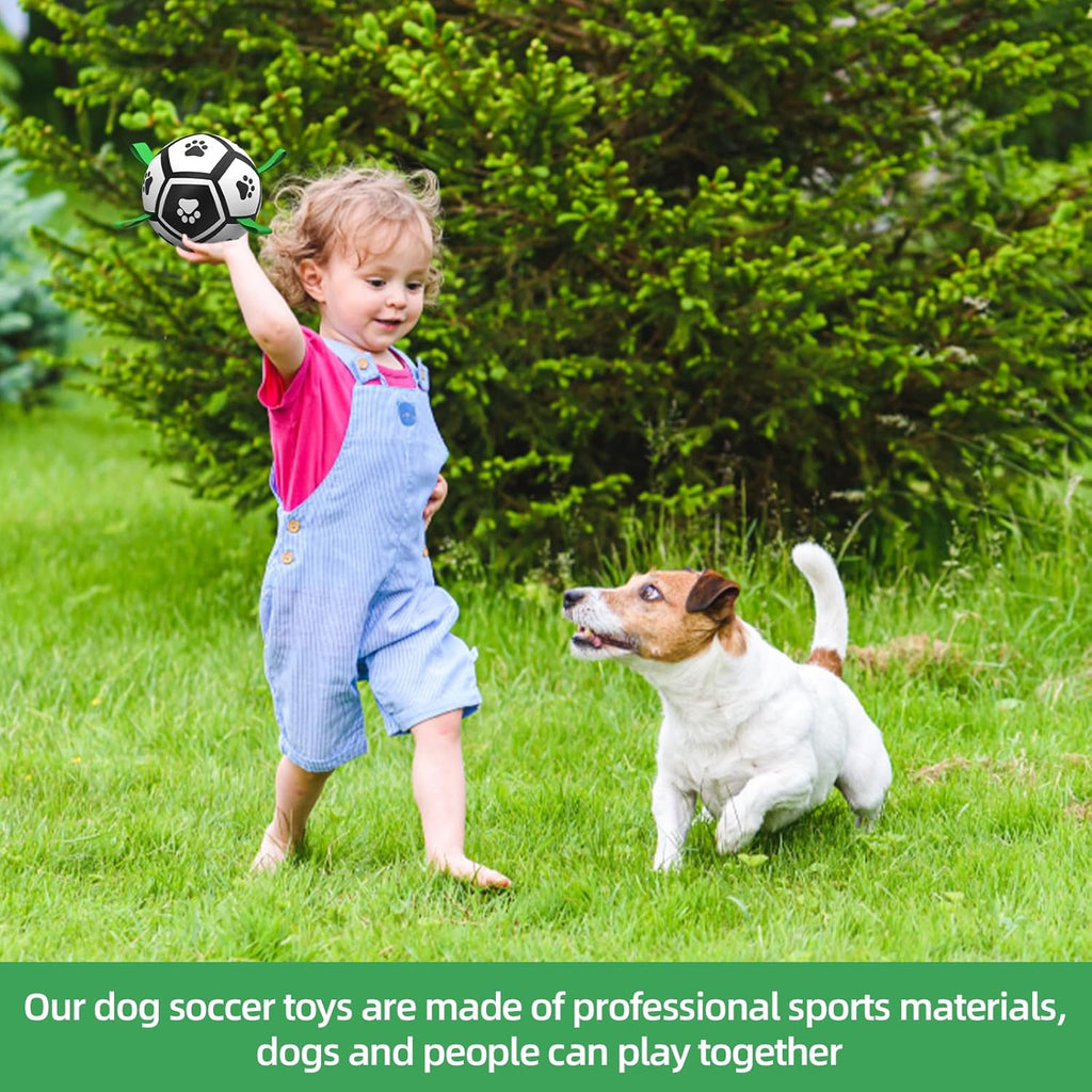 HETOO Interactive Dog Football Toys with Grab | PetNestUK