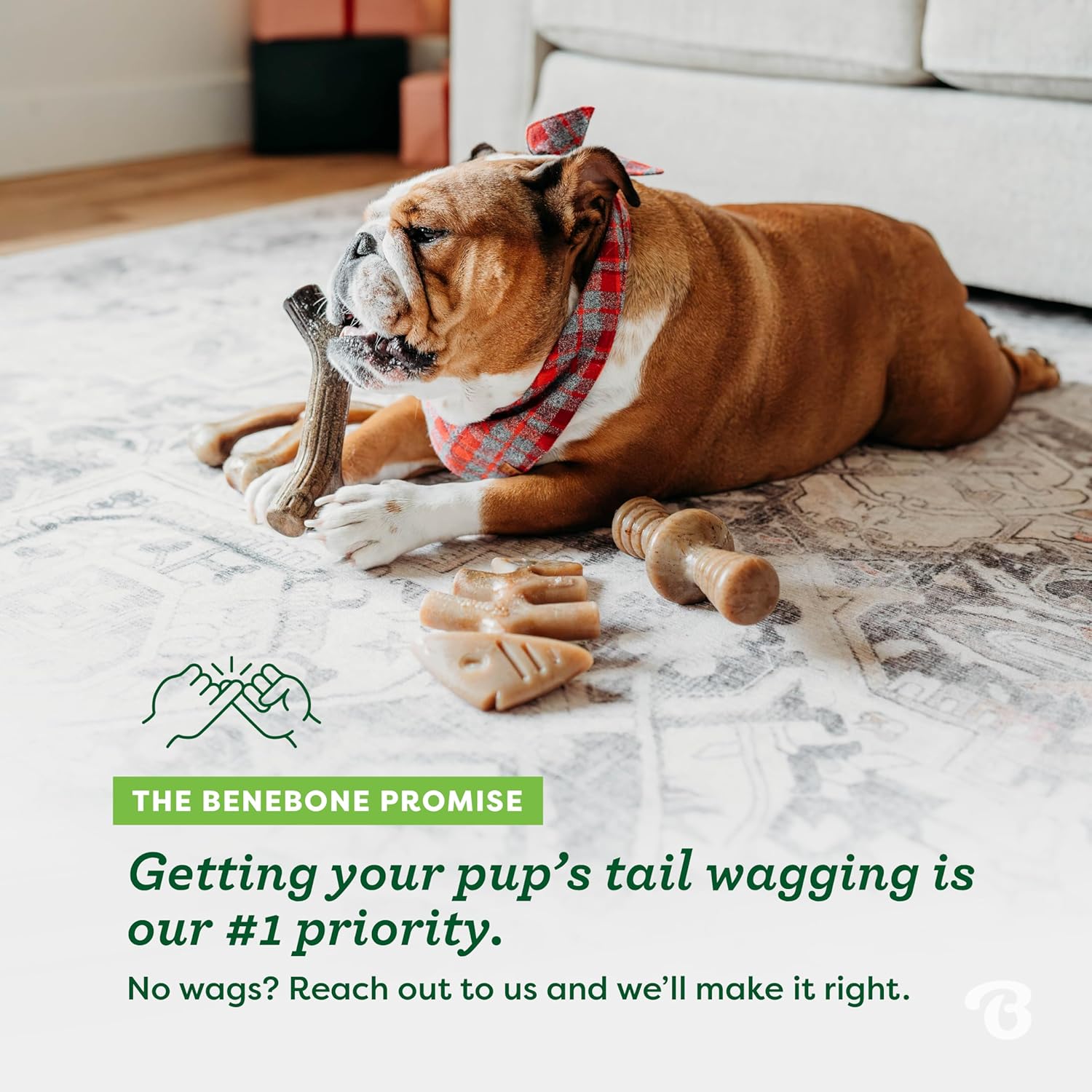 Benebone Durable Dog Chew Toy Box for Aggressive | PetNestUK