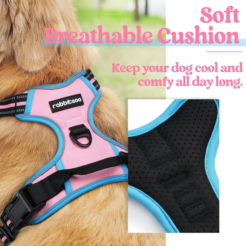 rabbitgoo Padded Dog Harness with Two Lead Clips