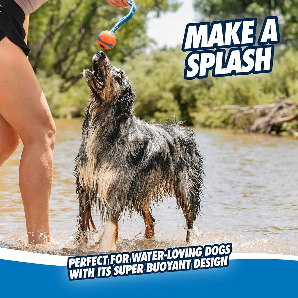 Chuckit! Ultra Tug Dog Toy With Rubber Ball Tug | PetNestUK