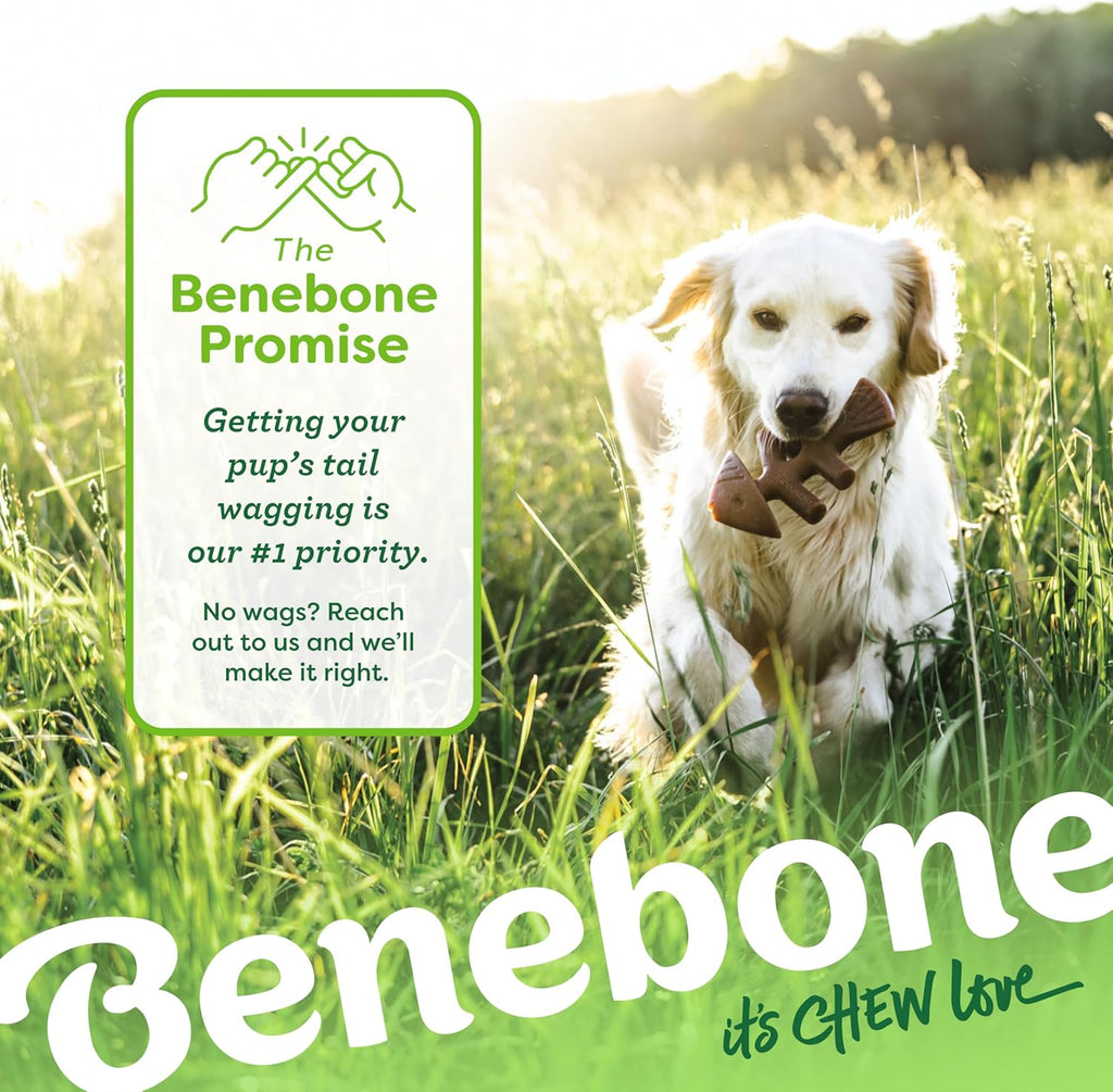 Benebone Durable Dog Chew Toy Box for Aggressive | PetNestUK