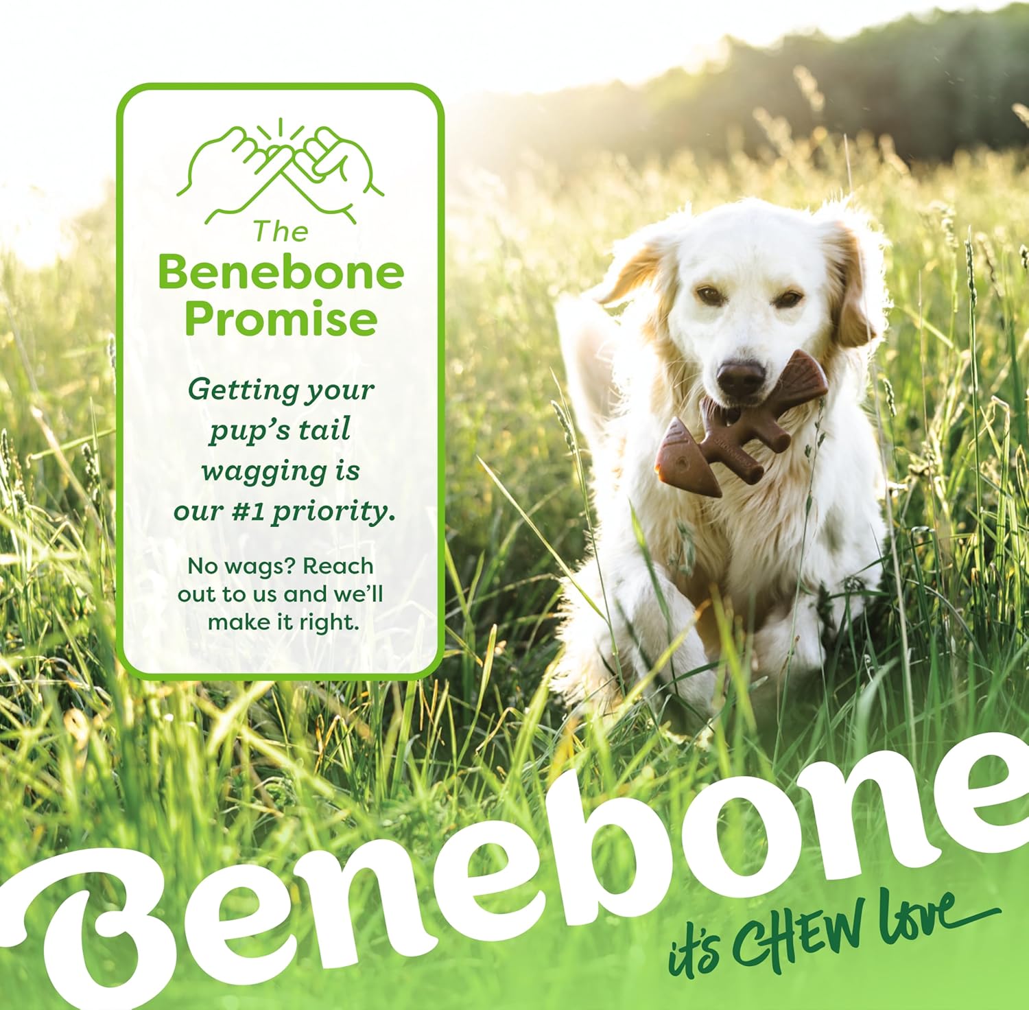 Benebone Durable Dog Chew Toy Box for Aggressive | PetNestUK