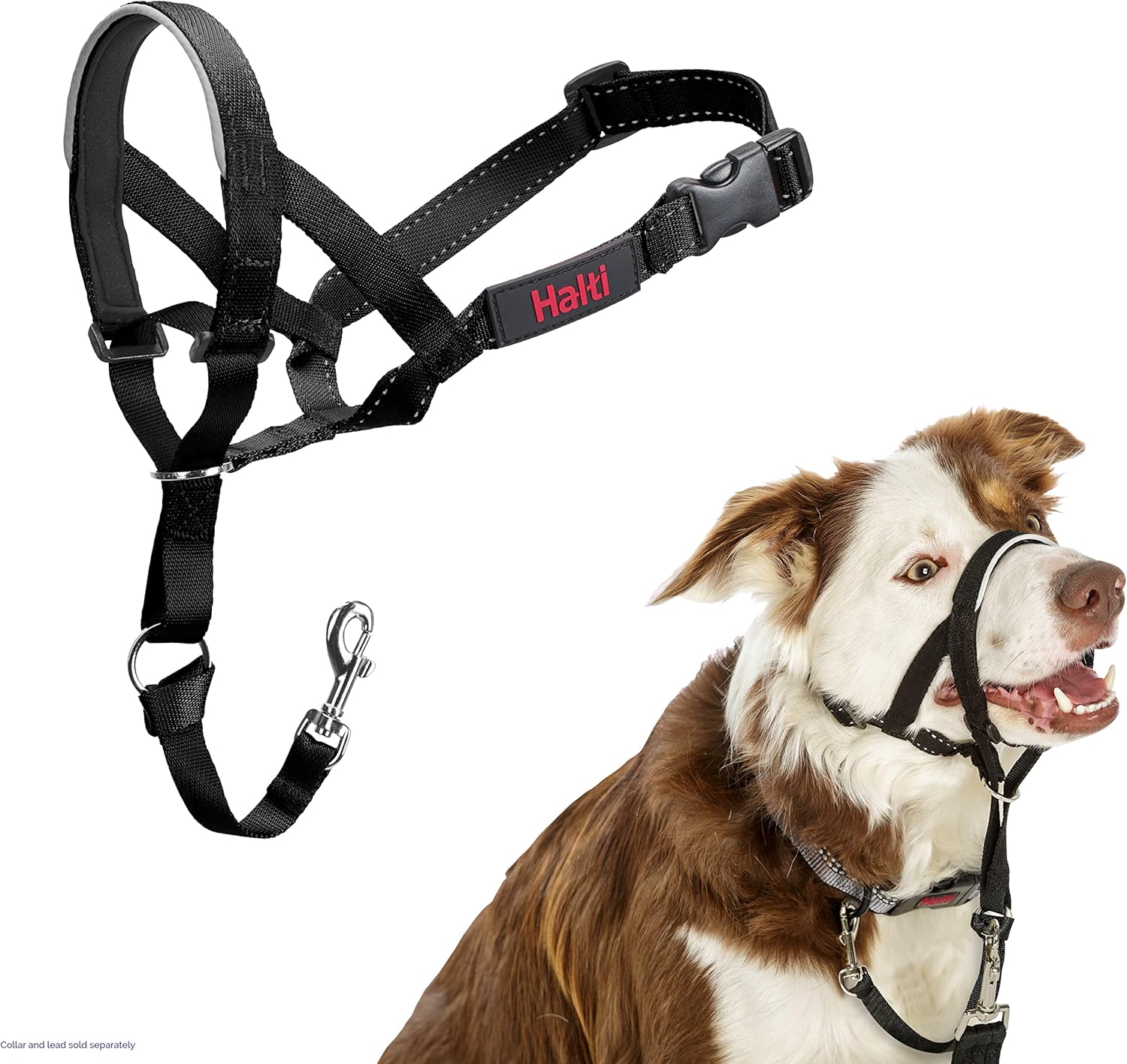 HALTI Headcollar, UK Bestselling Harness to Stop | PetNestUK