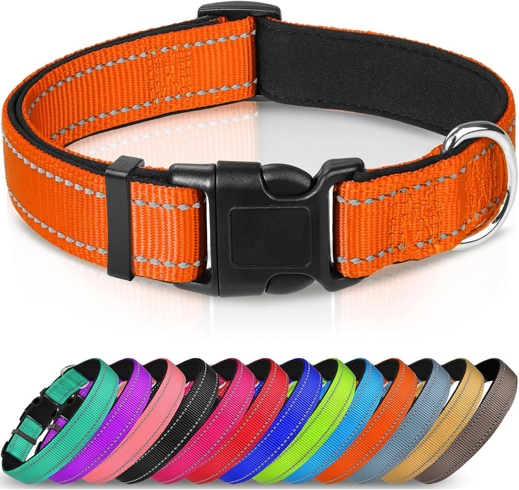 Joytale Reflective Dog Collar with Neoprene Padding