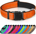 Joytale Reflective Dog Collar with Neoprene Padding
