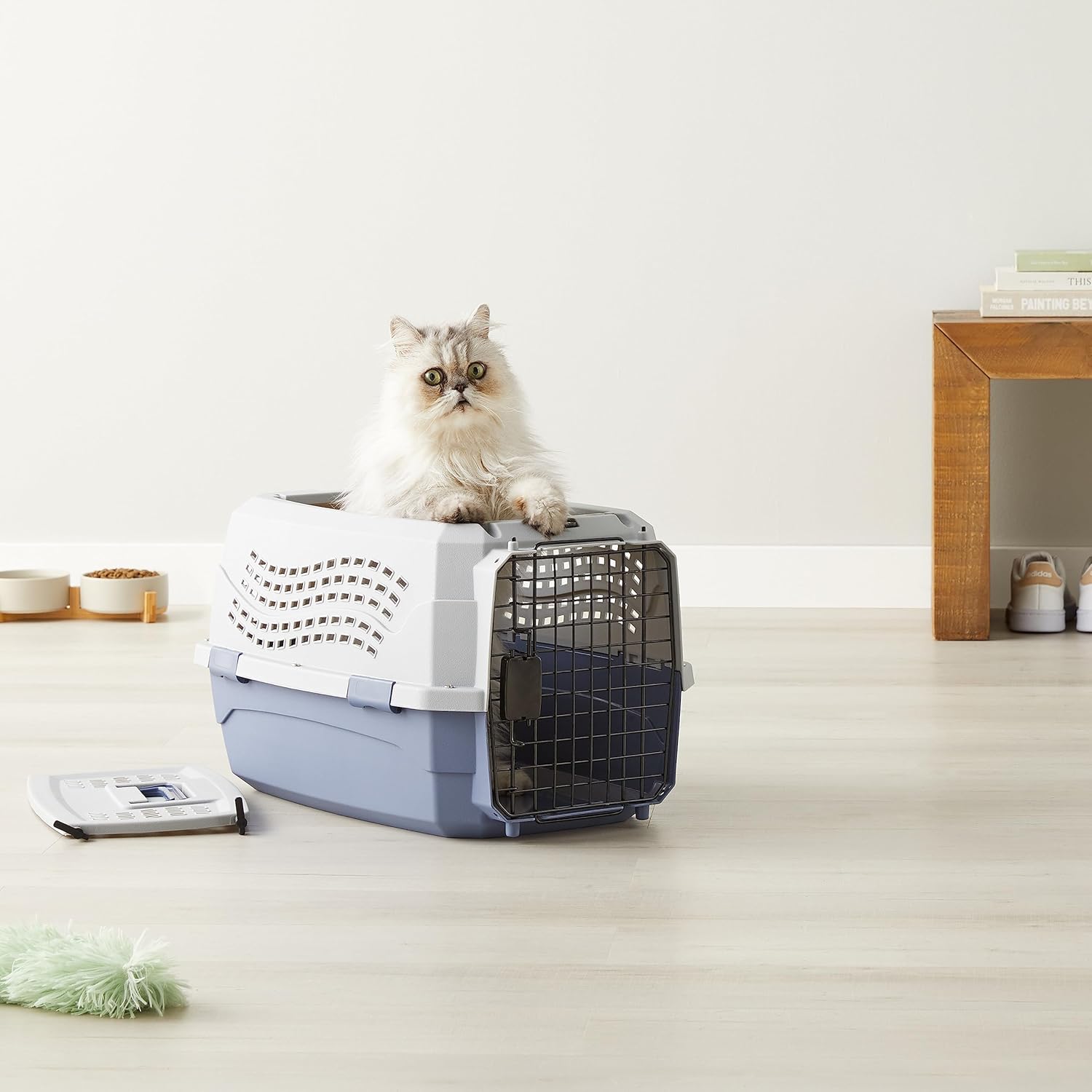 PetNestUK Basics Hard-Sided Cat Carrier, Two-Door | PetNestUK