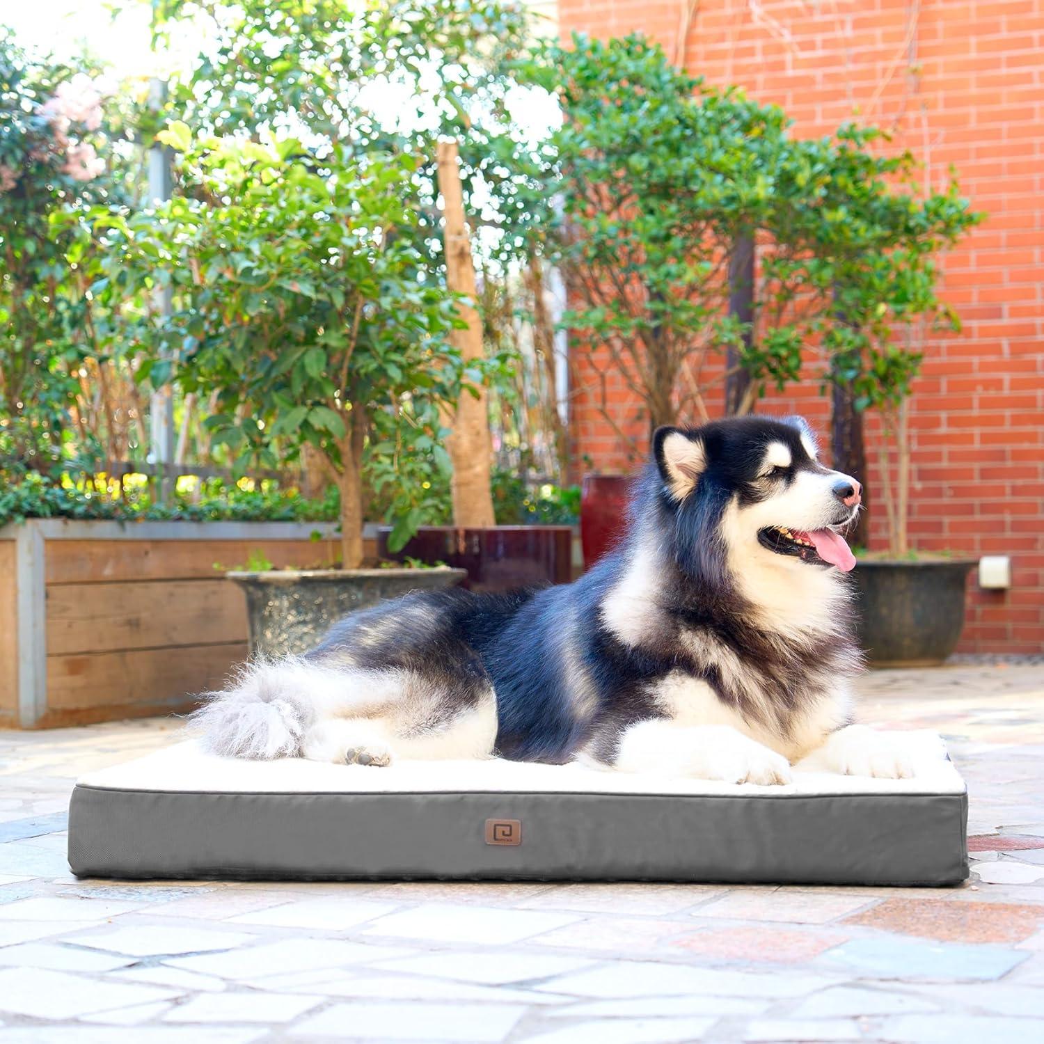 EHEYCIGA Orthopedic Dog Beds Small, Medium, | PetNestUK