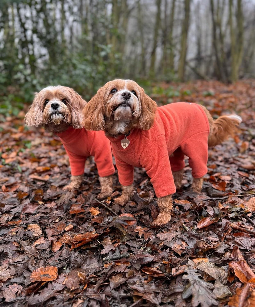 Warm Four-Legged Dog Fleece | PetNestUK