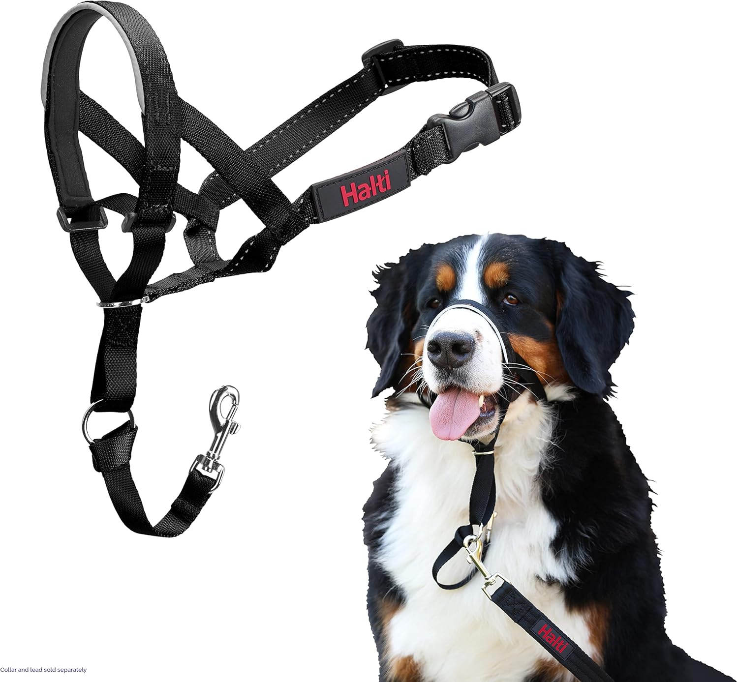 HALTI Headcollar, UK Bestselling Harness to Stop | PetNestUK