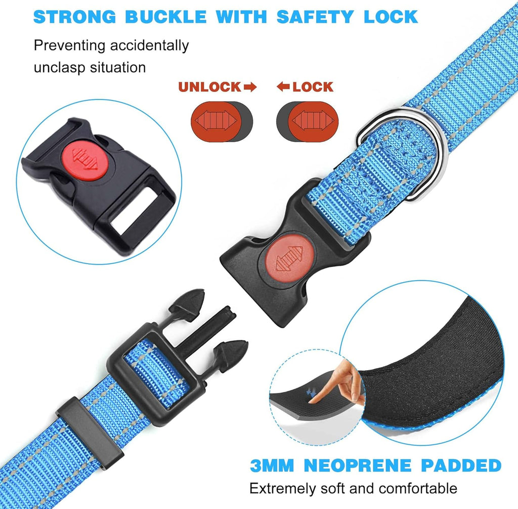 haapaw Reflective Dog Collar Padded with Soft | PetNestUK