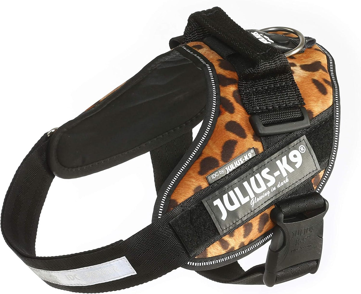 Julius-K9 IDC Powerharness for Small Dogs