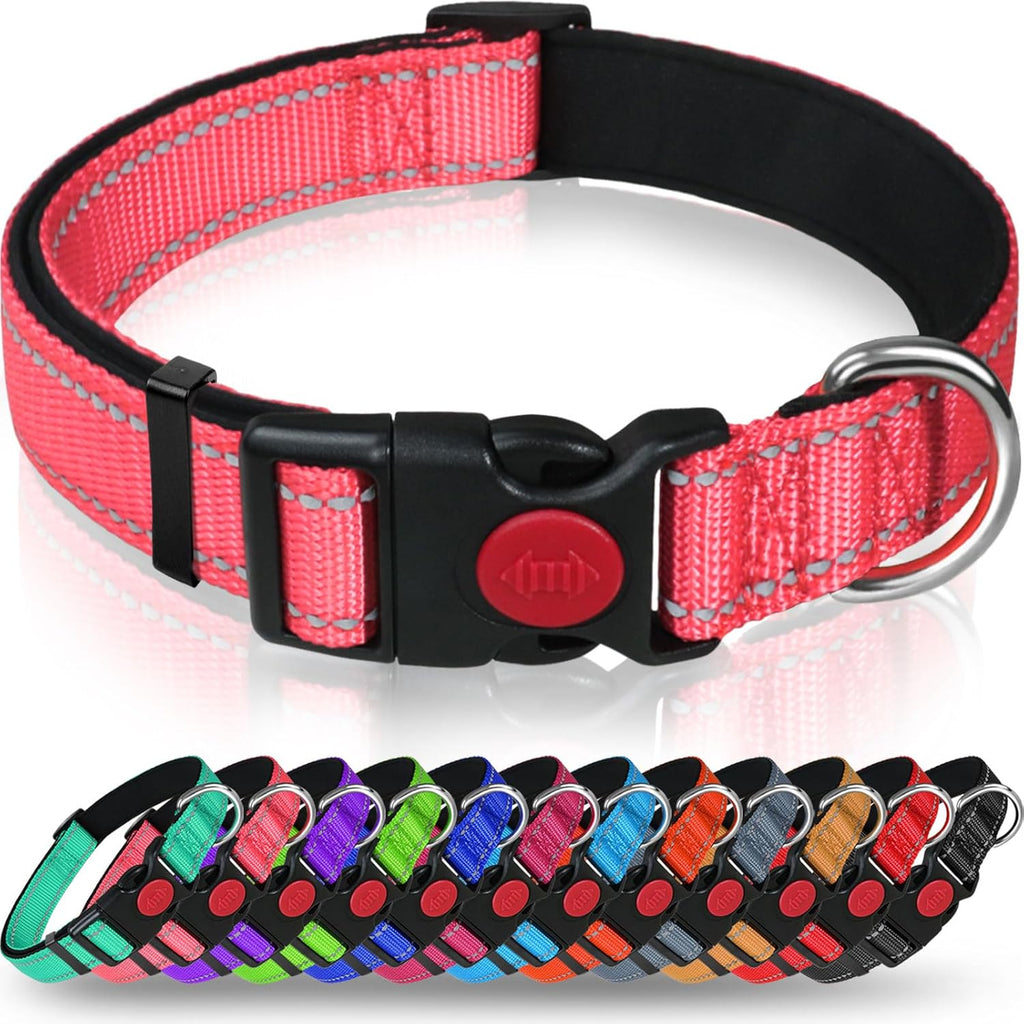 Taglory Reflective Nylon Dog Collar with Safety | PetNestUK