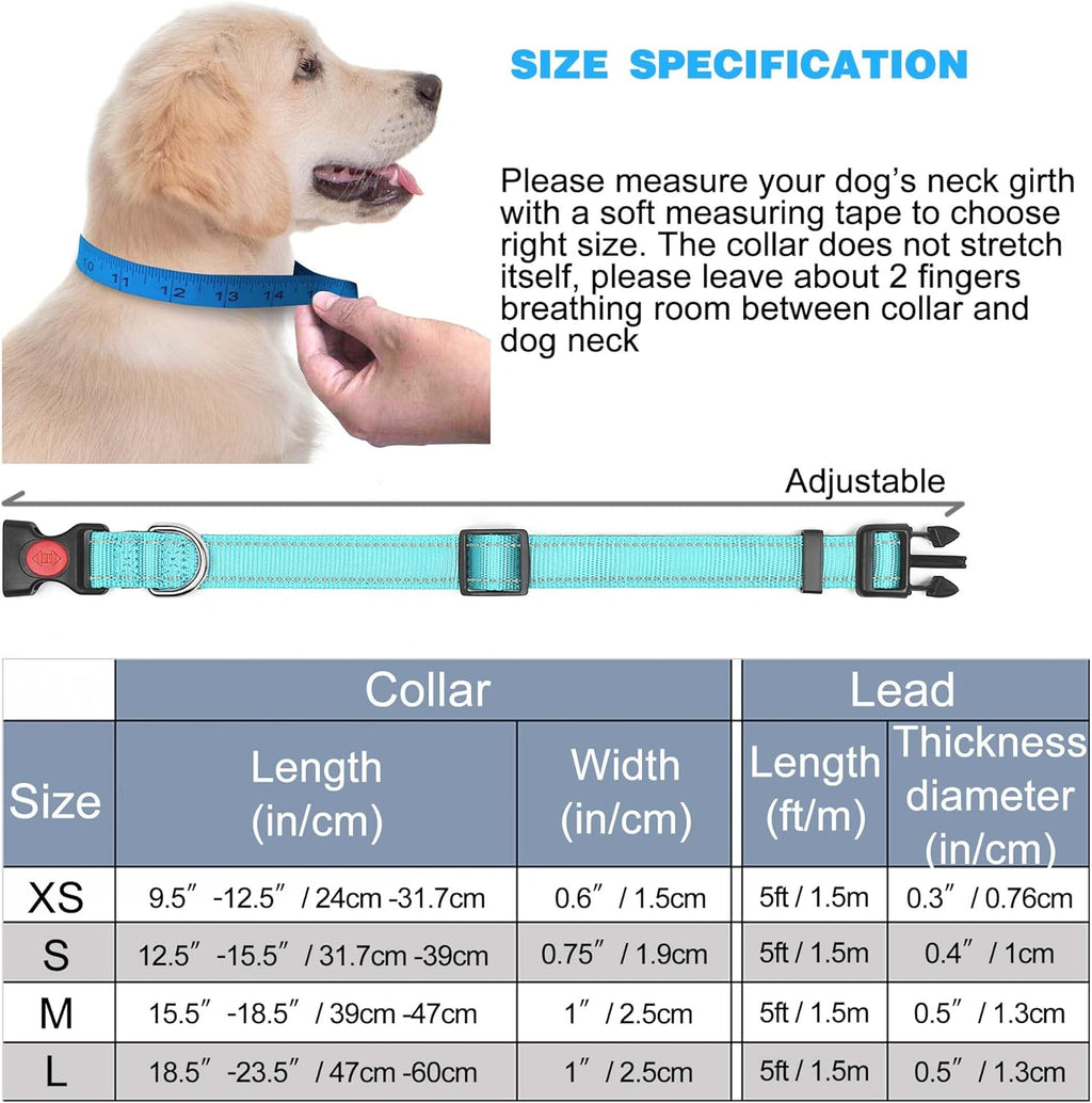 haapaw Reflective Dog Collar Padded with Soft | PetNestUK