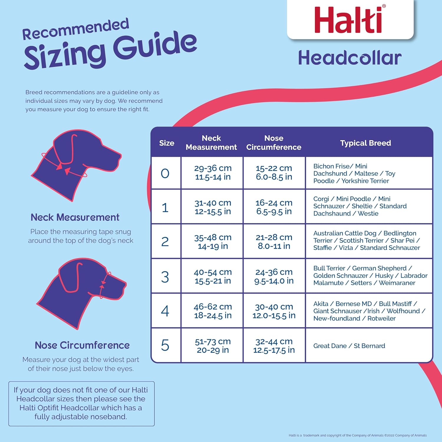 HALTI Headcollar, UK Bestselling Harness to Stop | PetNestUK