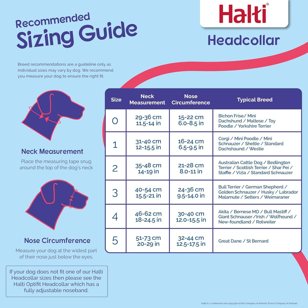 HALTI Adjustable Dog Headcollar