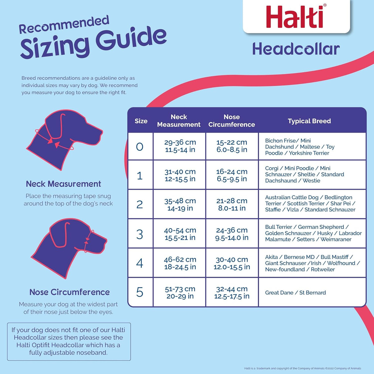 HALTI Adjustable Dog Headcollar