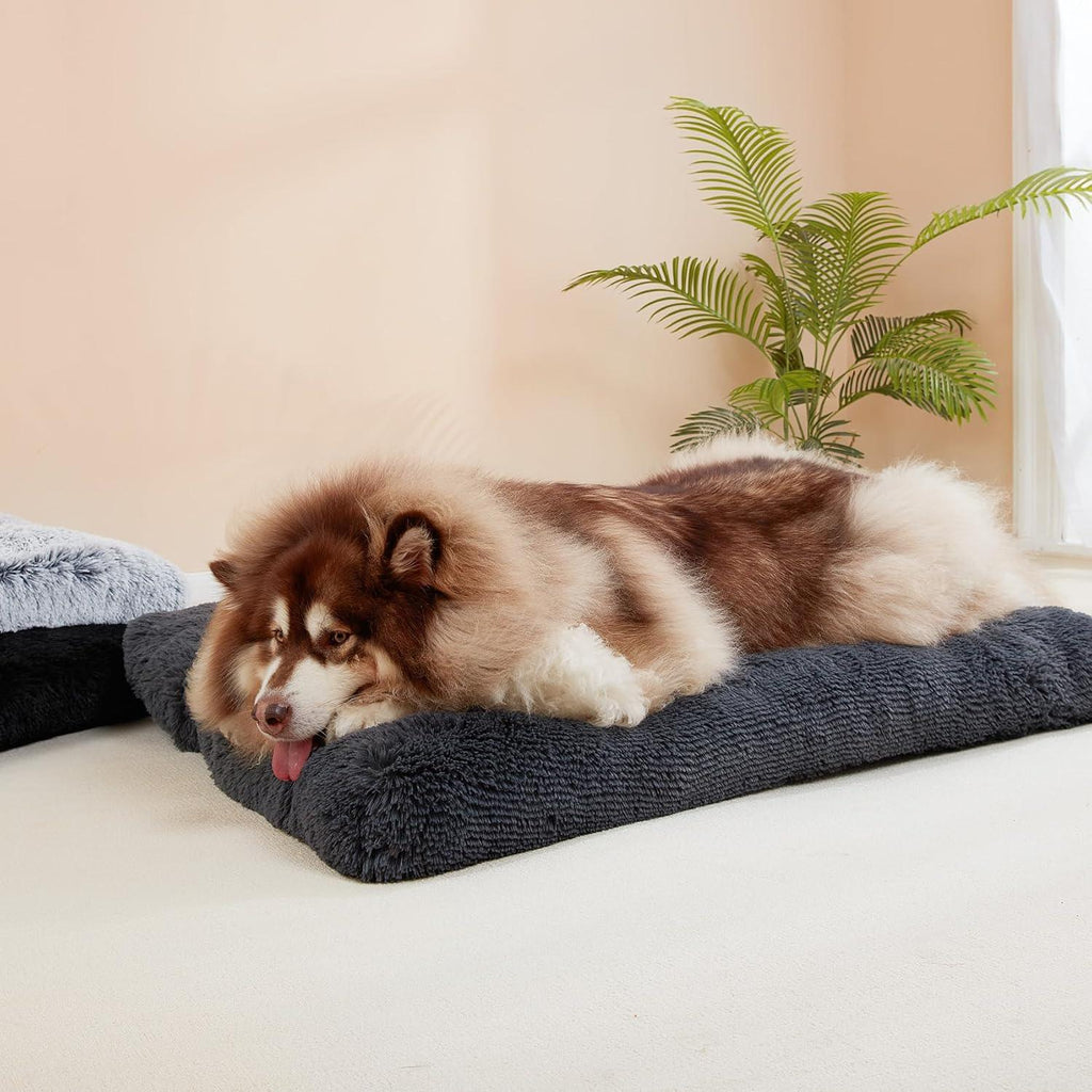 EHEYCIGA Calming Dog Bed Medium, Fluffy Anti | PetNestUK