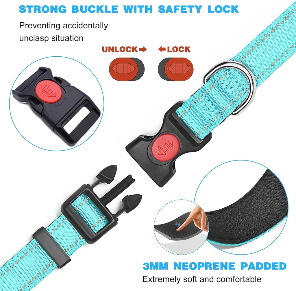 haapaw Reflective Dog Collar Padded with Soft | PetNestUK