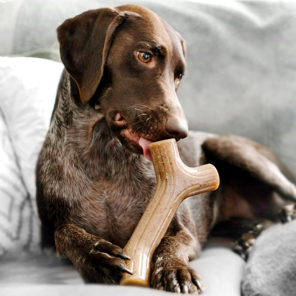 Benebone Durable Dog Chew Toy Box for Aggressive | PetNestUK