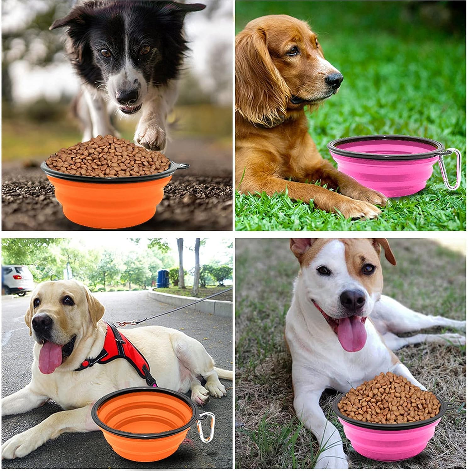 Collapsible Dog Bowl,Collapsible Dog Water Bowls | PetNestUK