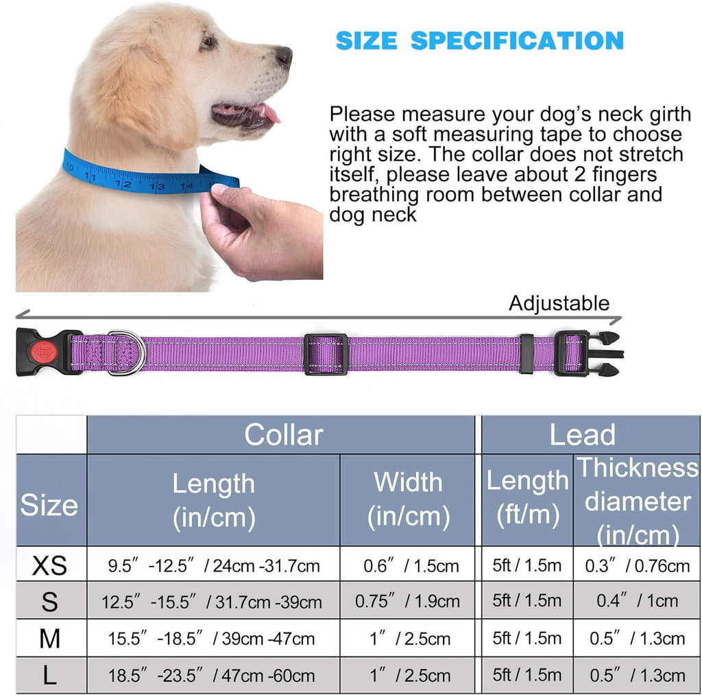 haapaw Reflective Dog Collar Padded with Soft | PetNestUK