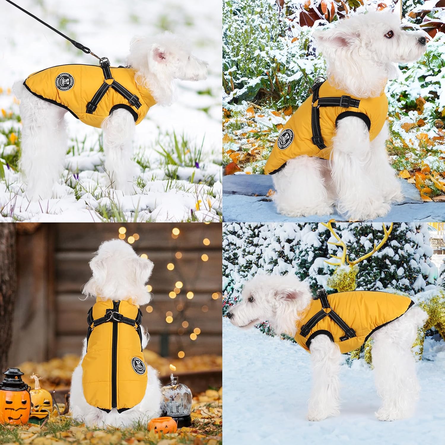 Poseca Dog Clothes for Small Dogs Dog Coat | PetNestUK