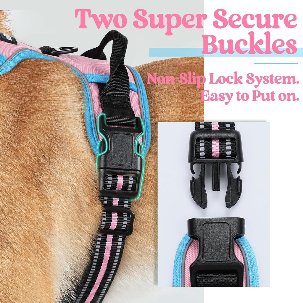 rabbitgoo Padded Dog Harness with Two Lead Clips