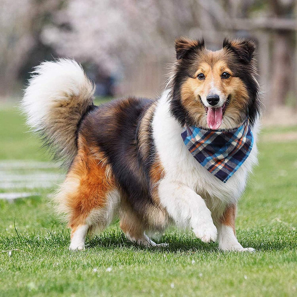 VIPITH, Bandana for Dogs, Pack of 8 Washable | PetNestUK