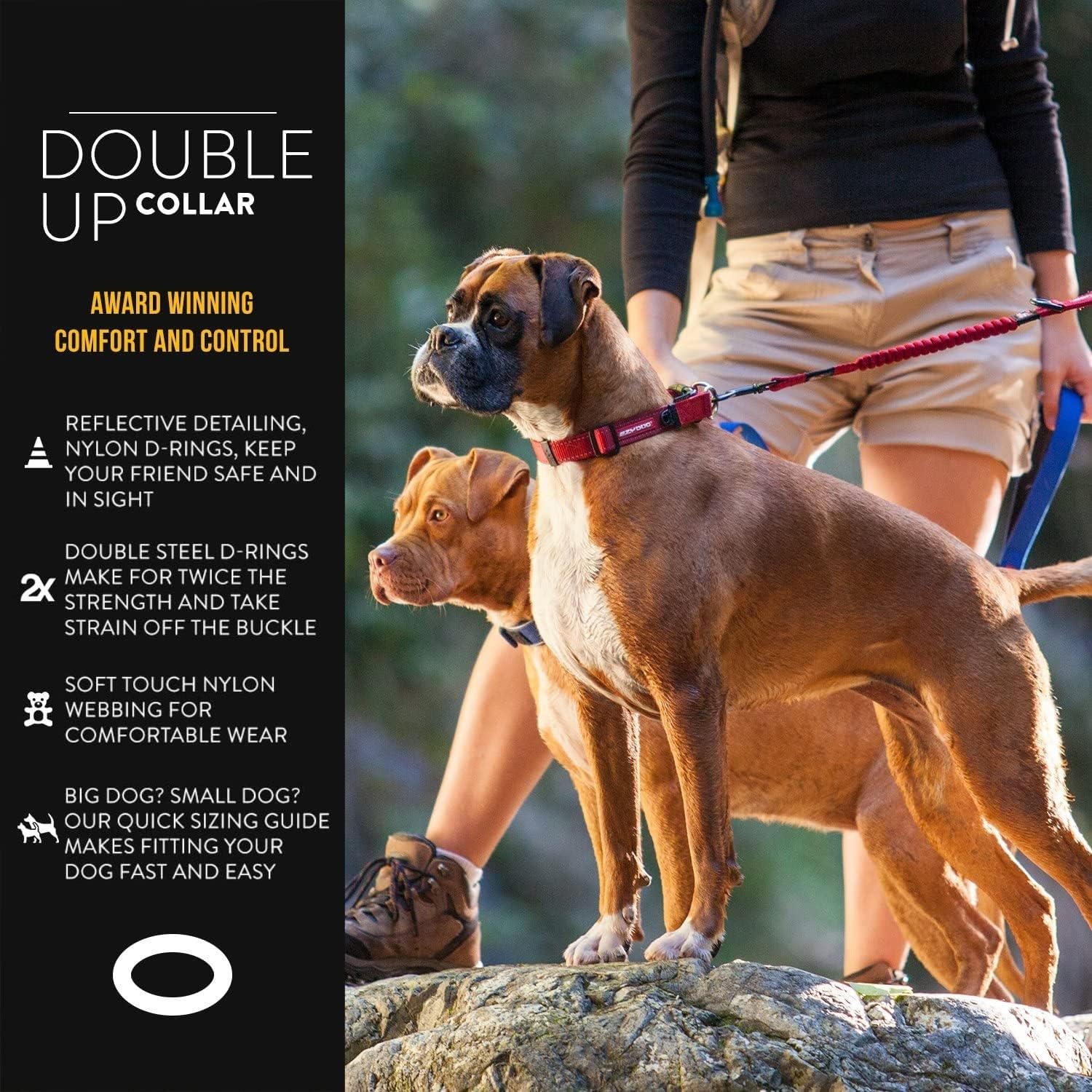 EZYDOG Double Up Dog Collar | PetNestUK
