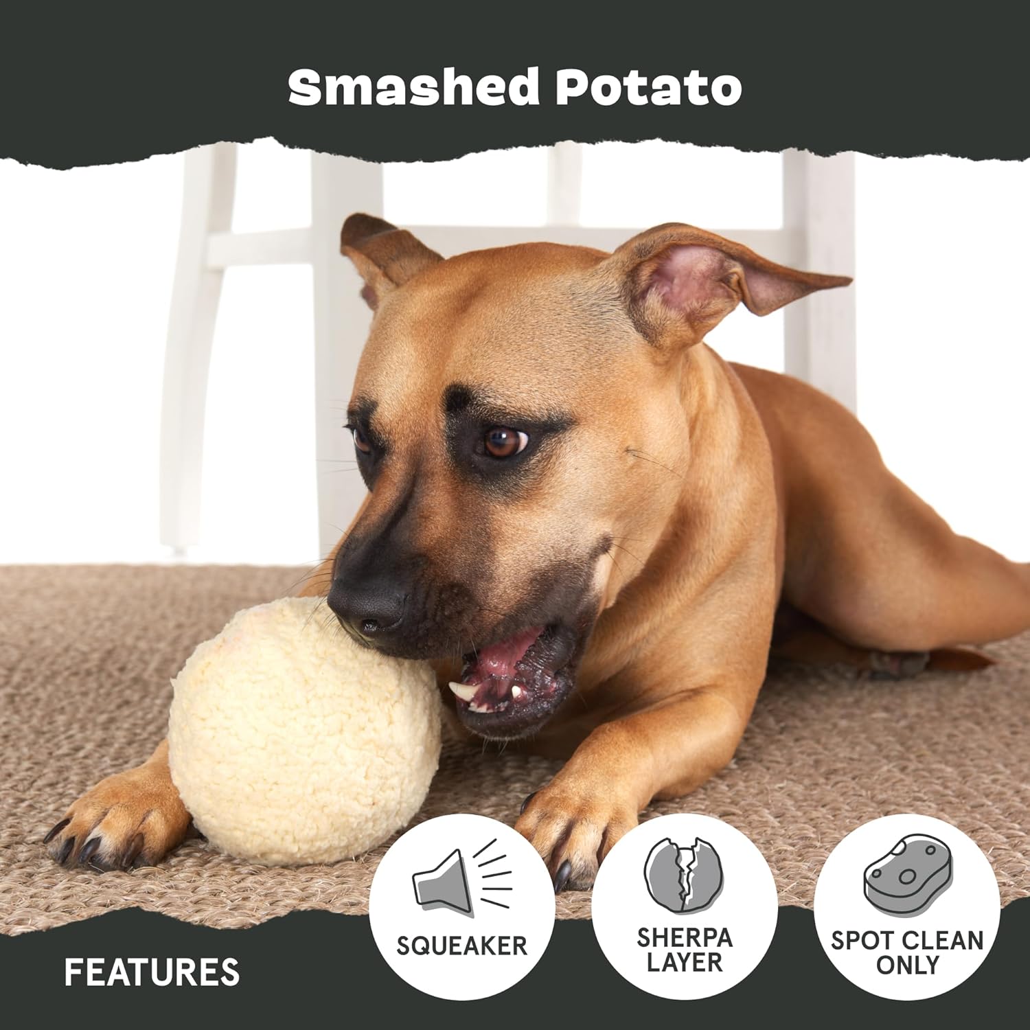 Barkbox Squeaky Dog Toys - Plush and Squeak Chew | PetNestUK