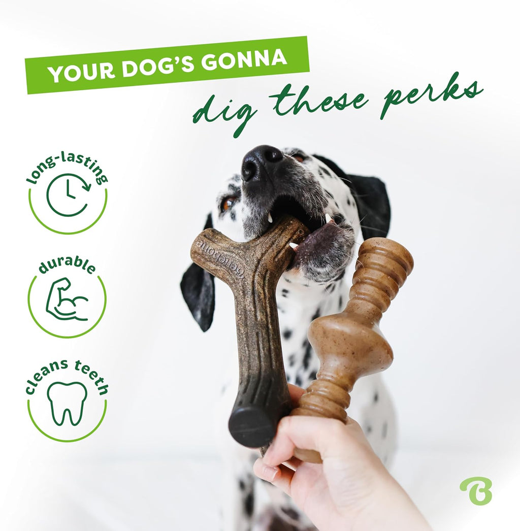 Benebone Durable Dog Chew Toy Box for Aggressive | PetNestUK