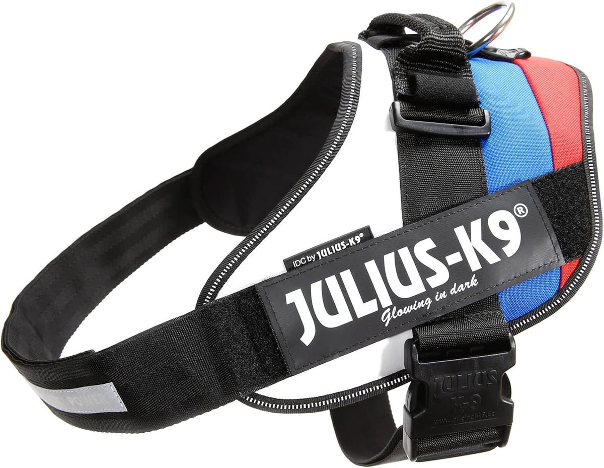 Julius-K9 IDC Powerharness for Small Dogs