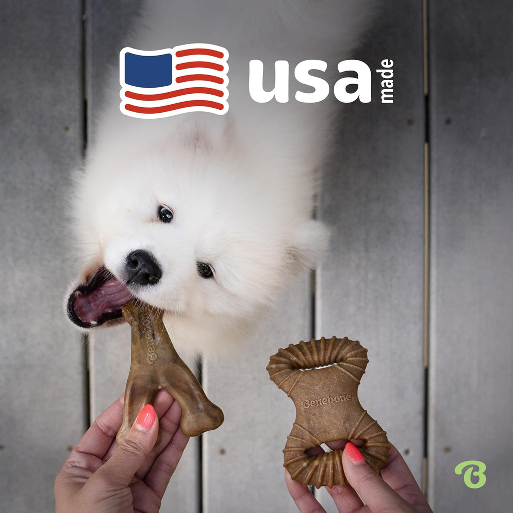 Benebone Durable Dog Chew Toy Box for Aggressive | PetNestUK