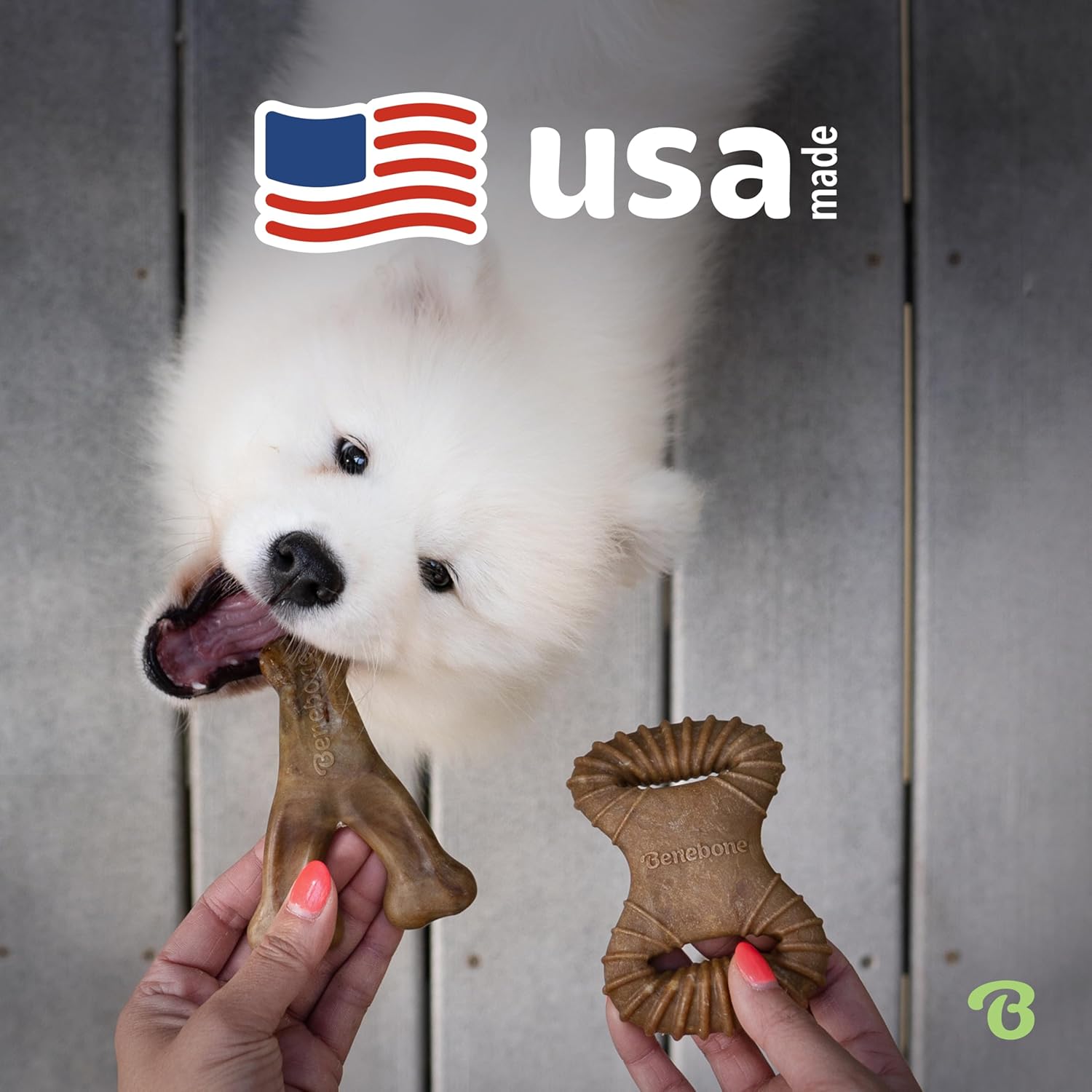 Benebone Durable Dog Chew Toy Box for Aggressive | PetNestUK