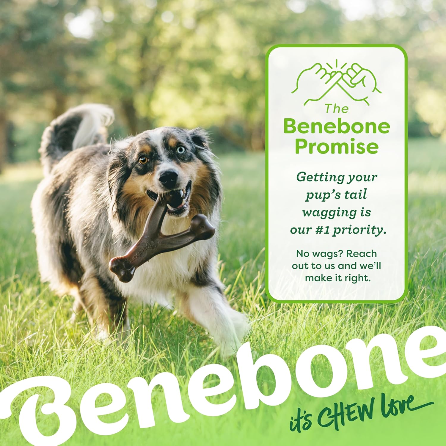 Benebone Durable Dog Chew Toy Box for Aggressive | PetNestUK