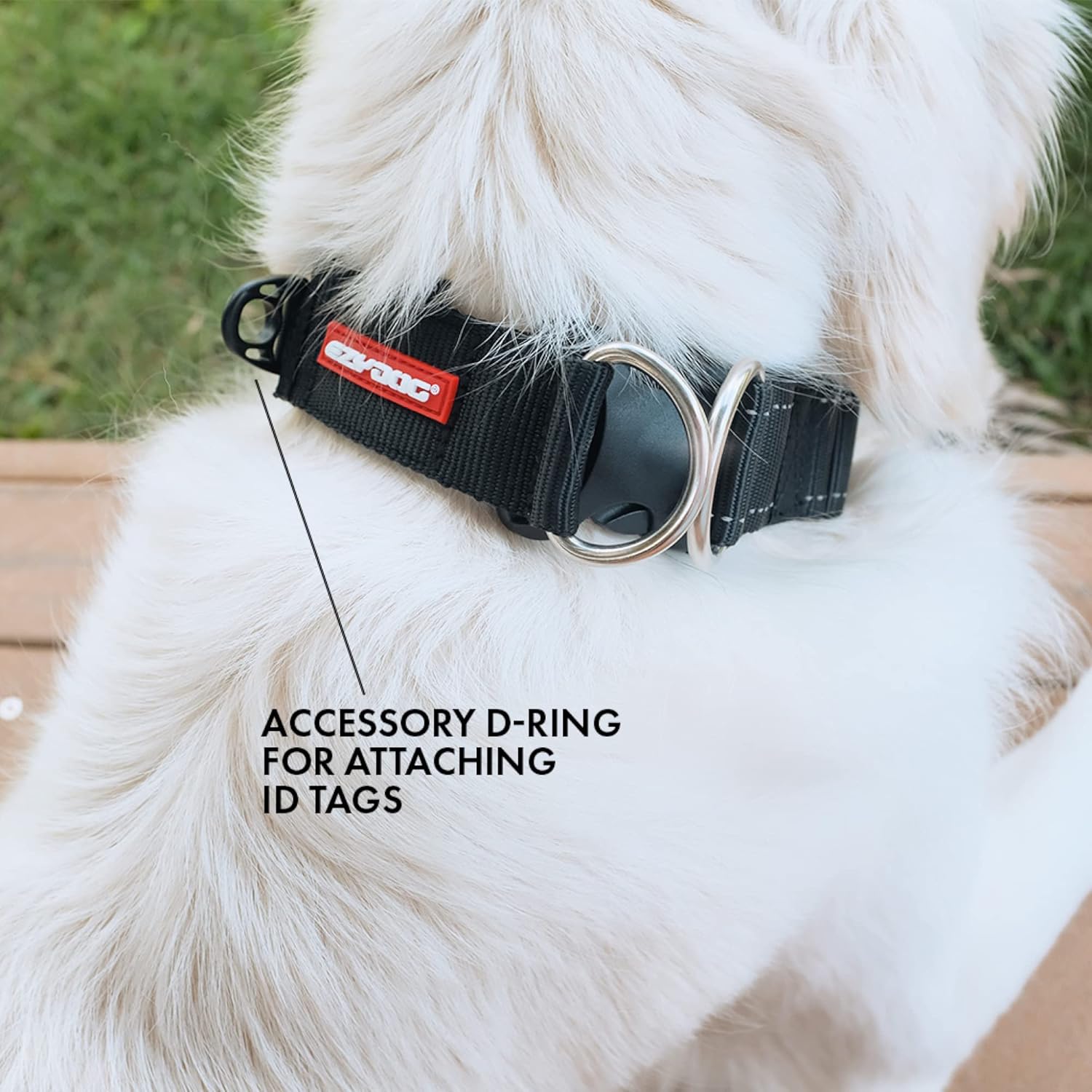 EZYDOG Double Up Dog Collar | PetNestUK