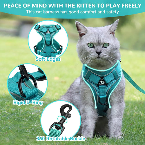 Adjustable Mesh Cat Harness and Lead Set