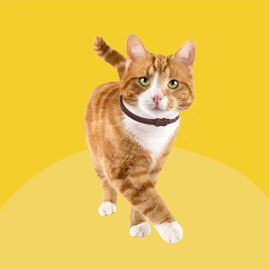 Bob Martin Clear Flea Repellent Collar for Cats | PetNestUK