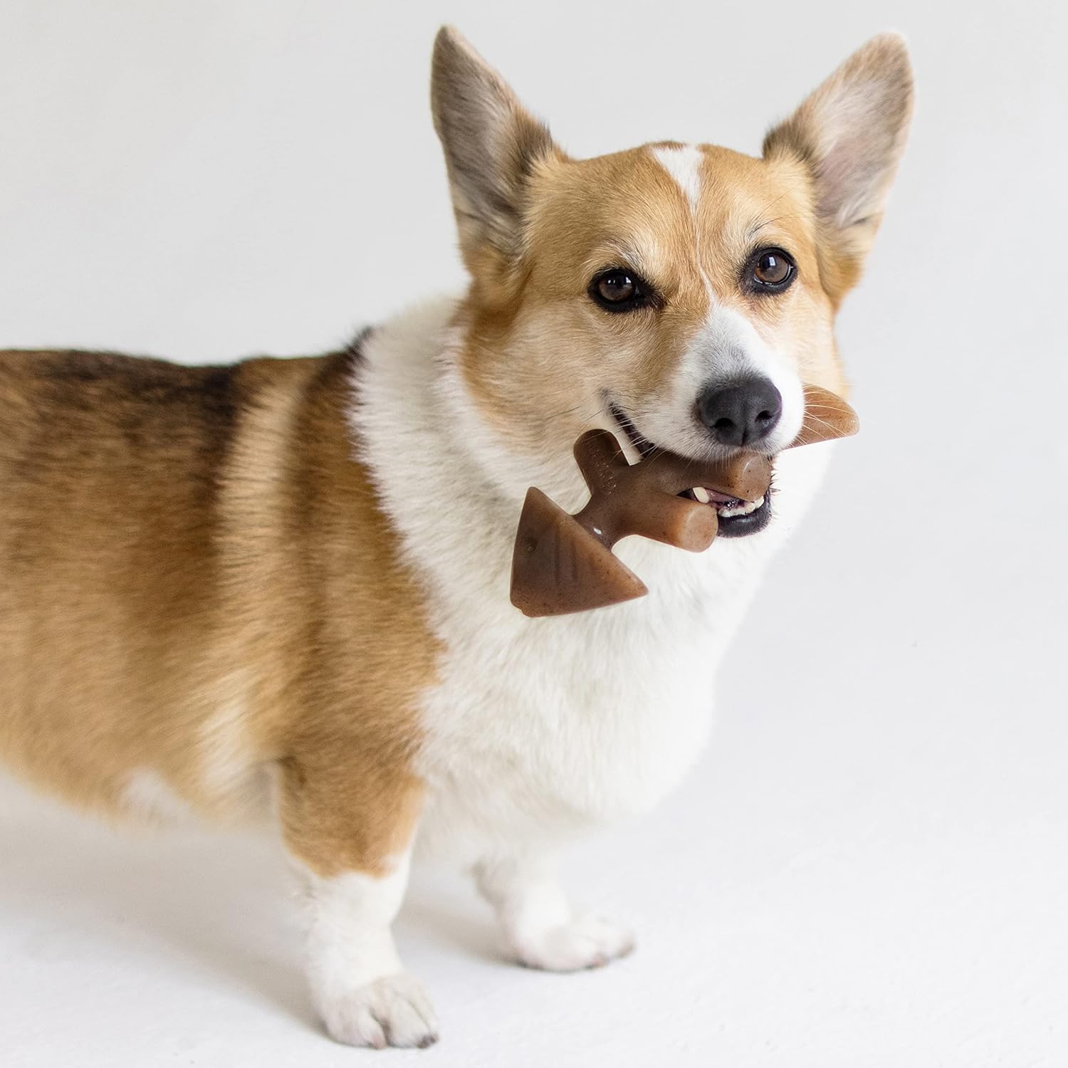 Benebone Durable Dog Chew Toy Box for Aggressive | PetNestUK