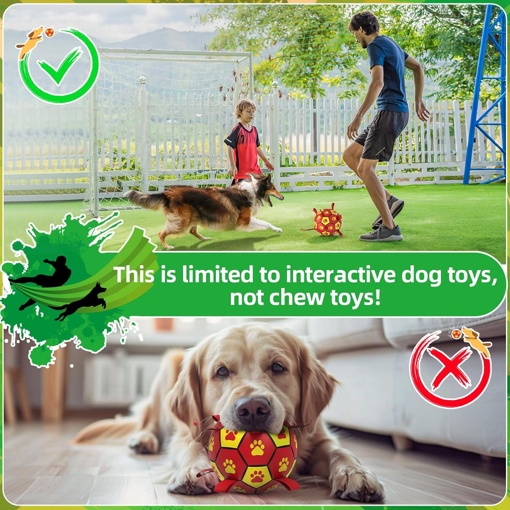 HETOO Dog Football with Grab Tabs