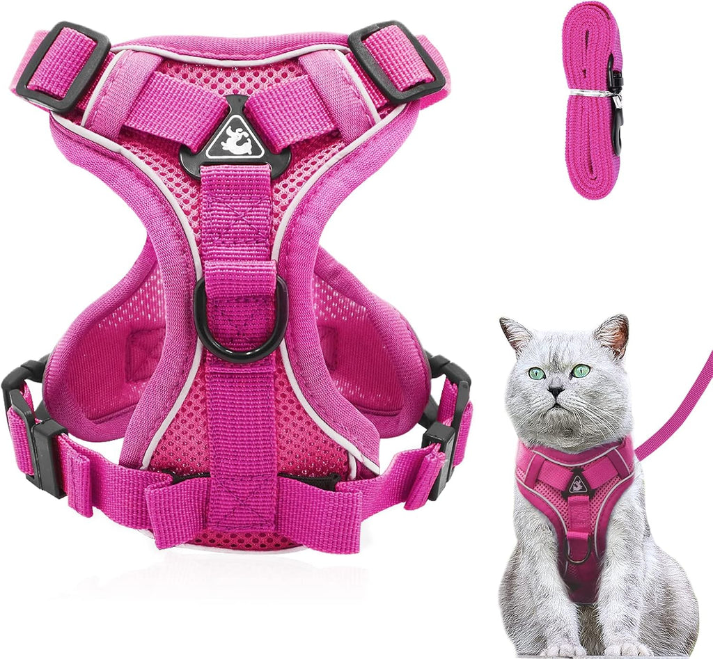 Adjustable Mesh Cat Harness and Lead Set