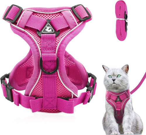 Adjustable Mesh Cat Harness and Lead Set