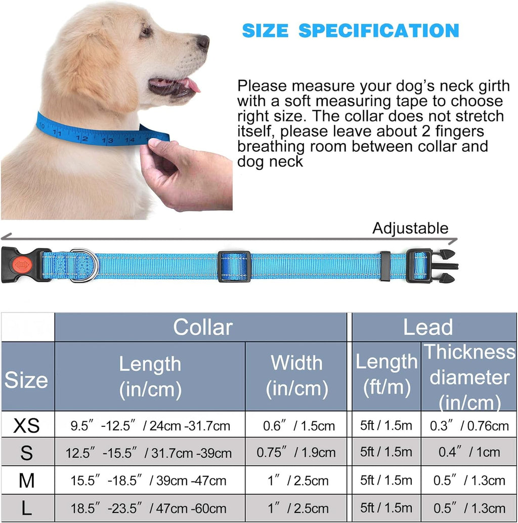 haapaw Reflective Dog Collar Padded with Soft | PetNestUK